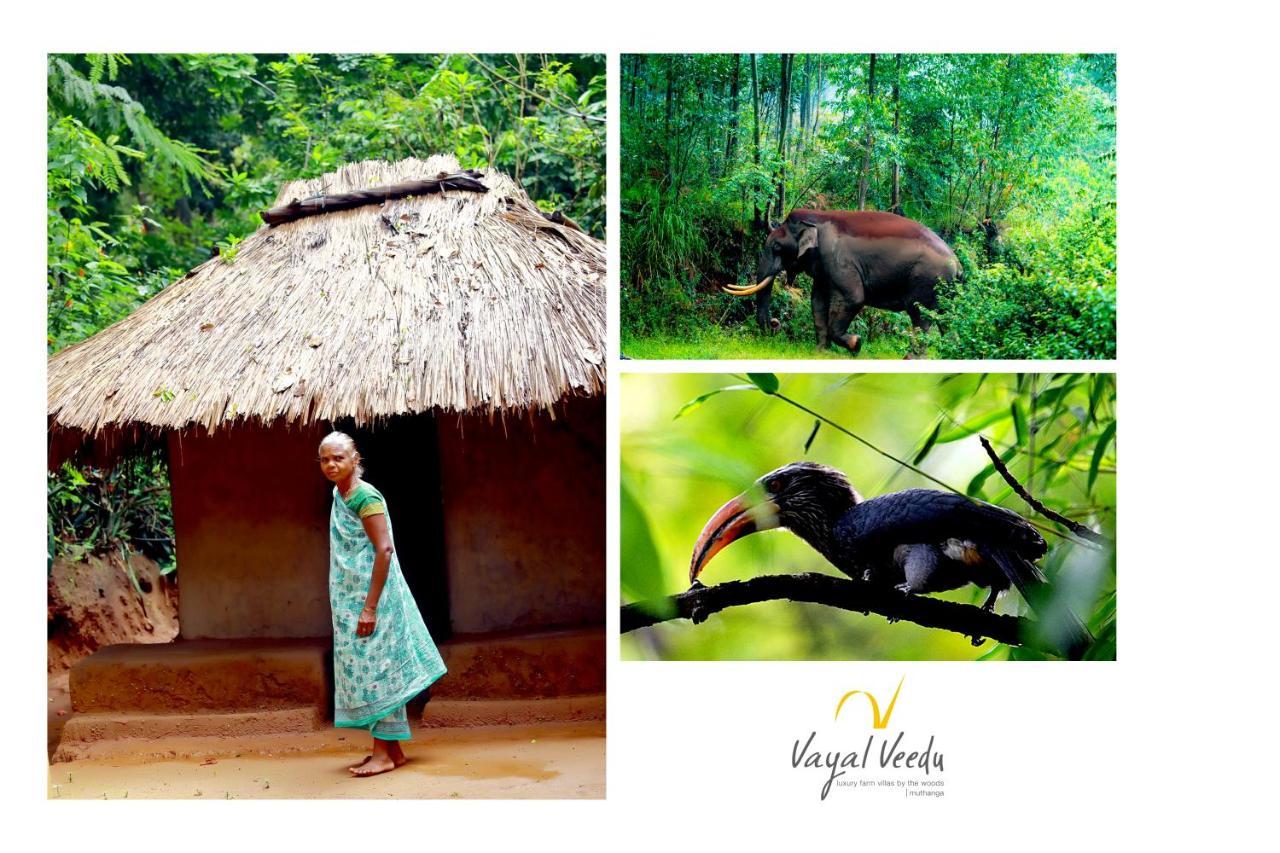 Vayal Veedu - Luxury Farm Villas By The Woods Muthanga Exterior photo